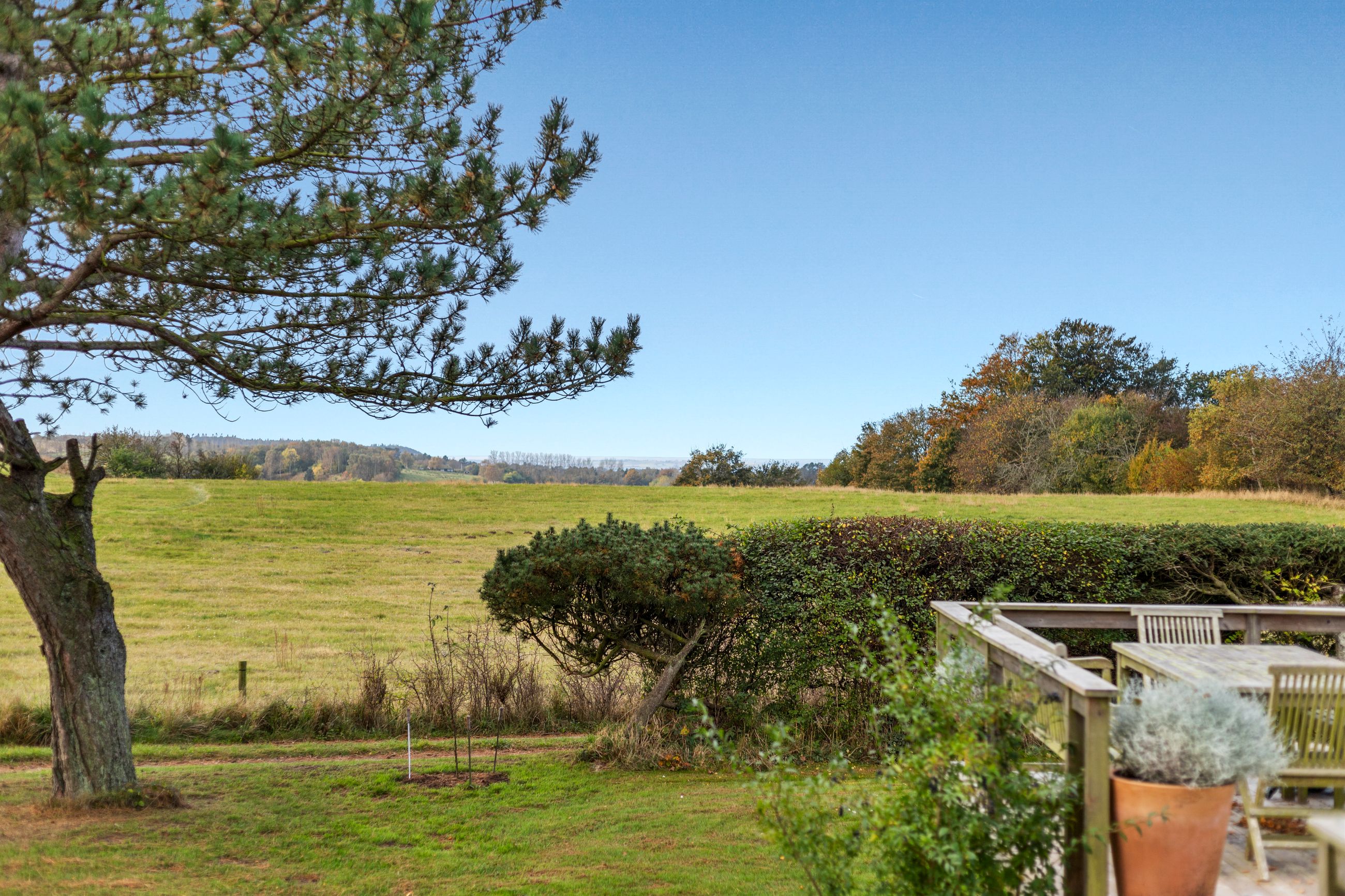 Vidarshøj 2, Veddinge, Fårevejle - IMG_3621