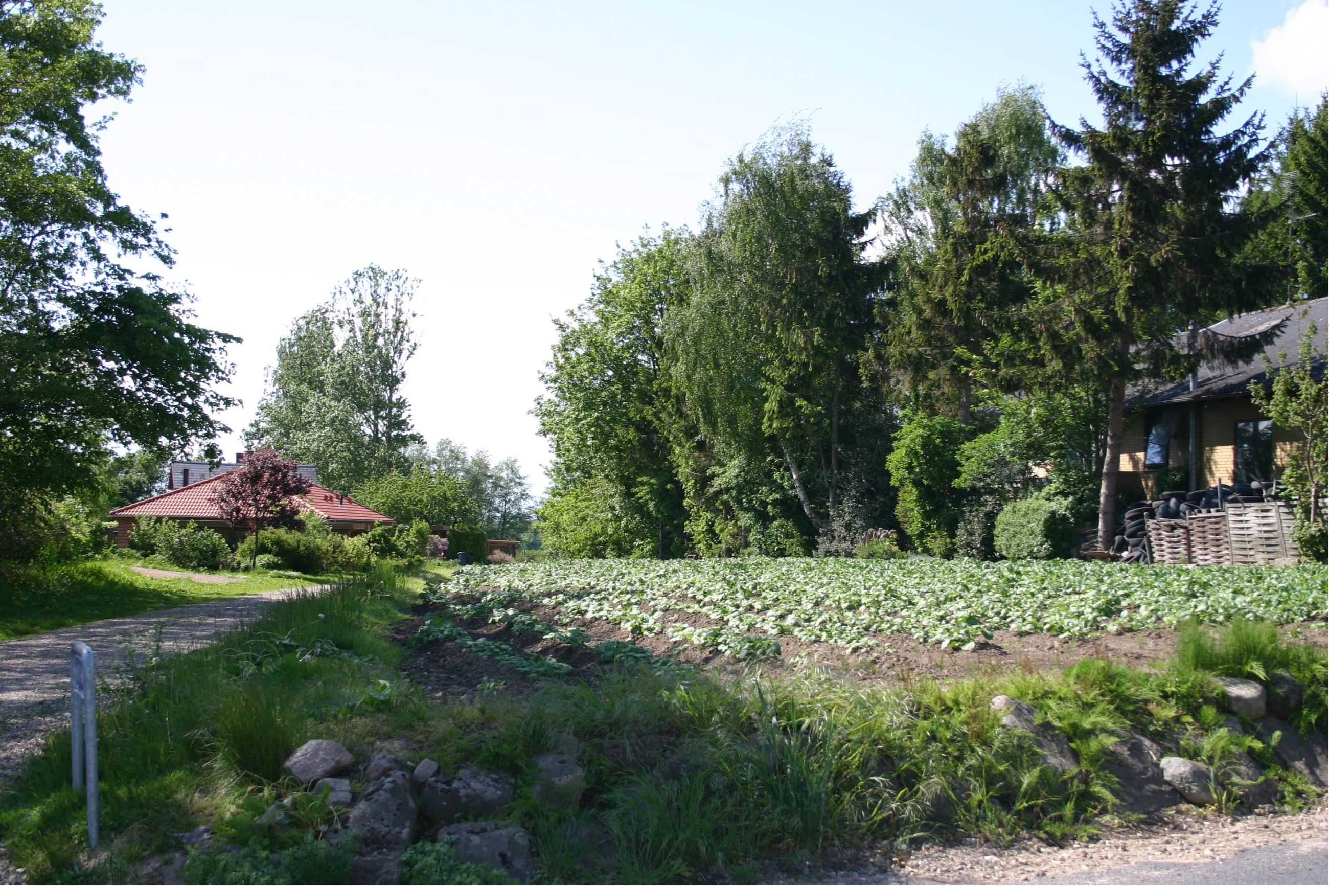 Nyvej 60C, Ulbølle Grund