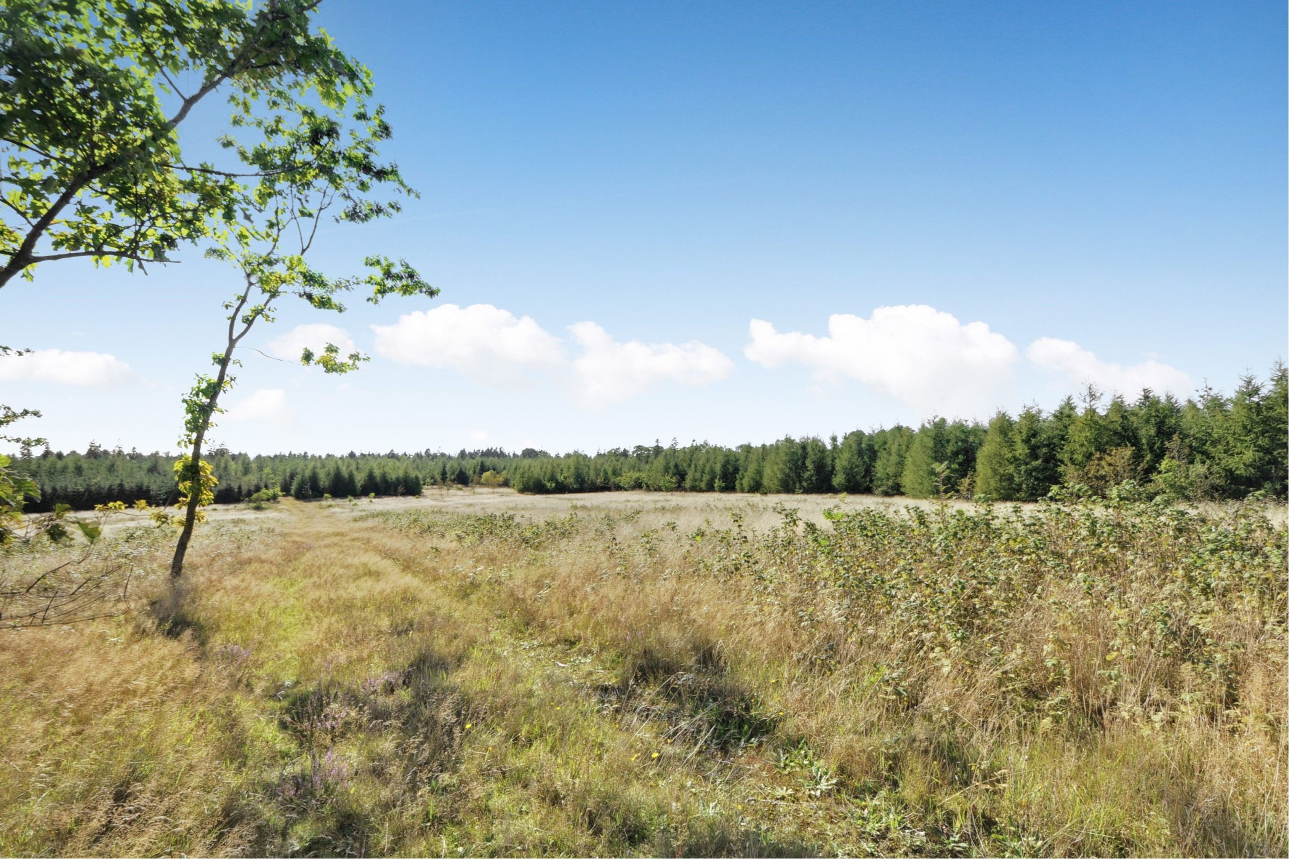 Ramskovgårdvej 15 & 17 Grund