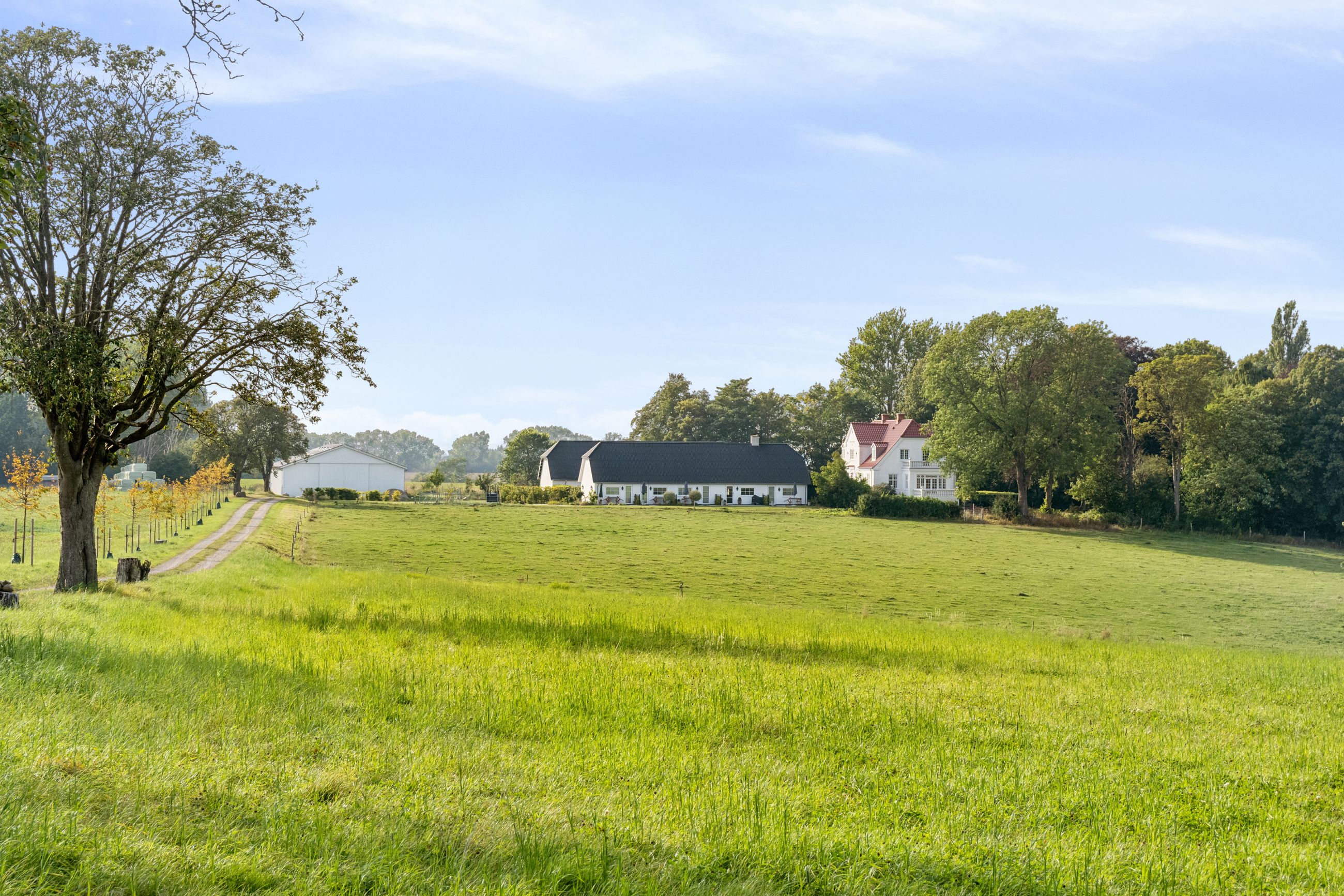 Margrethehåbsvej 117, Svogerslev, Roskilde - DSC07304.jpg