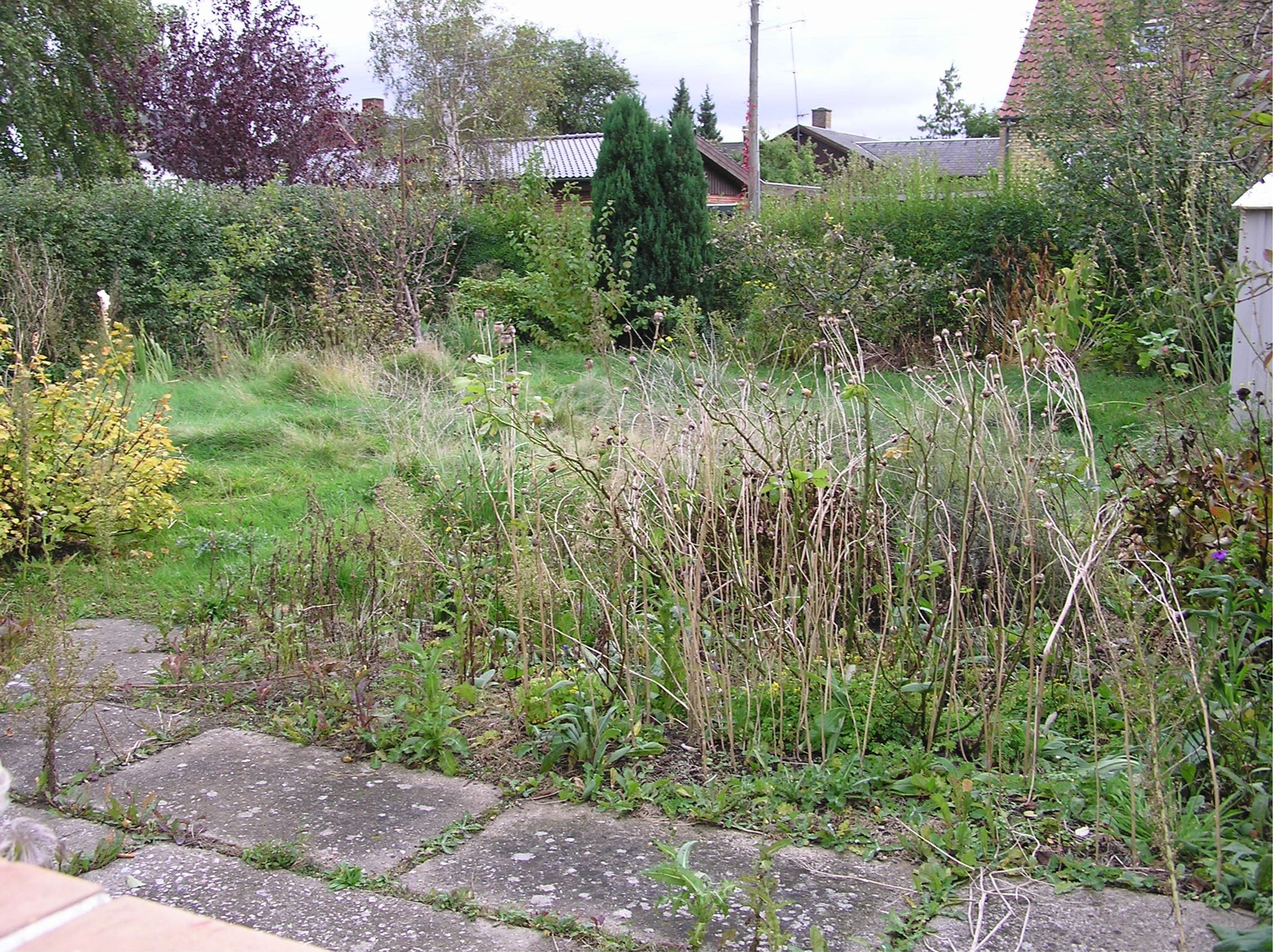 Bårsevej 8 Grund