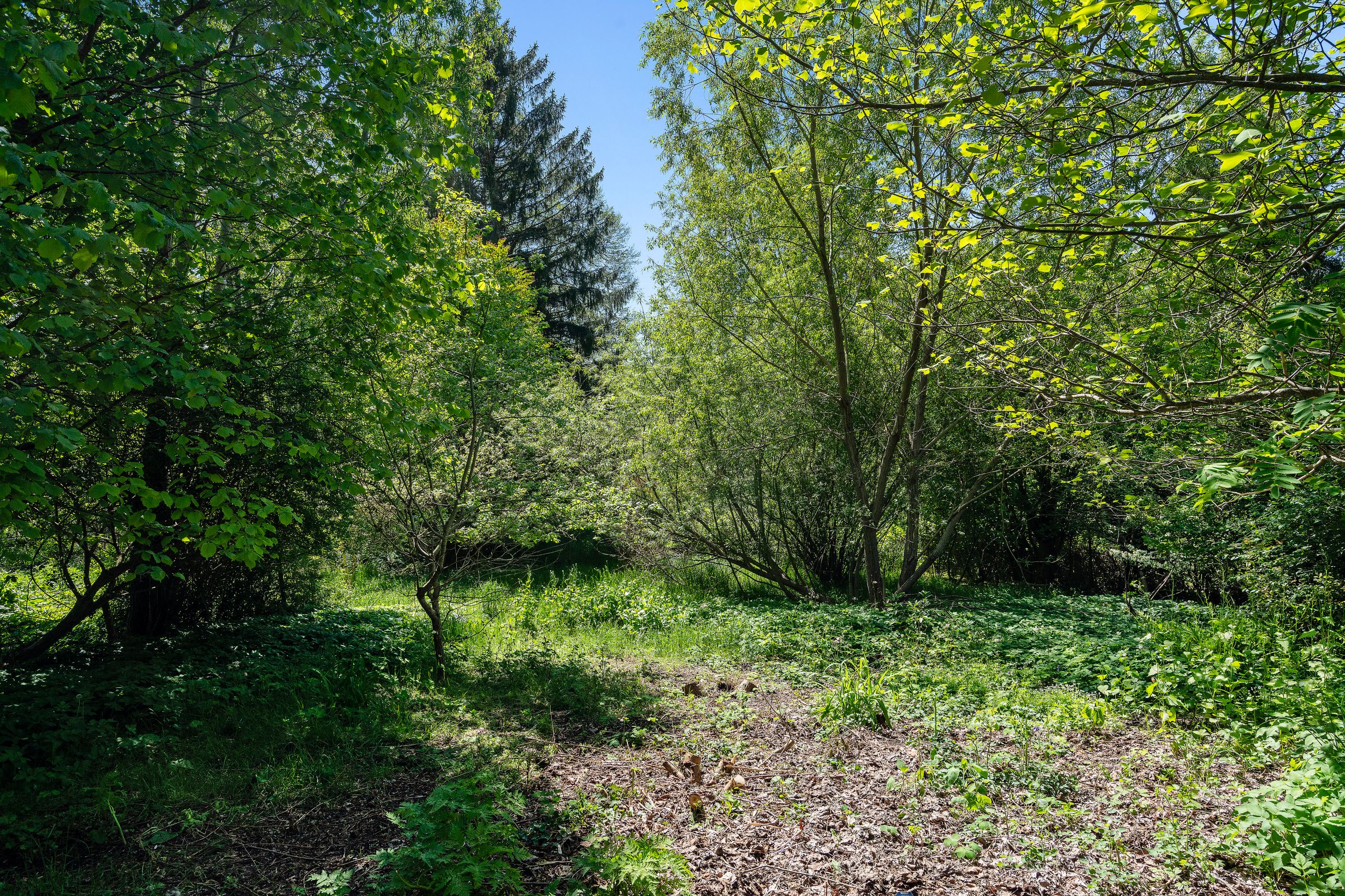 Hestetangsvej 149, Farum - Område