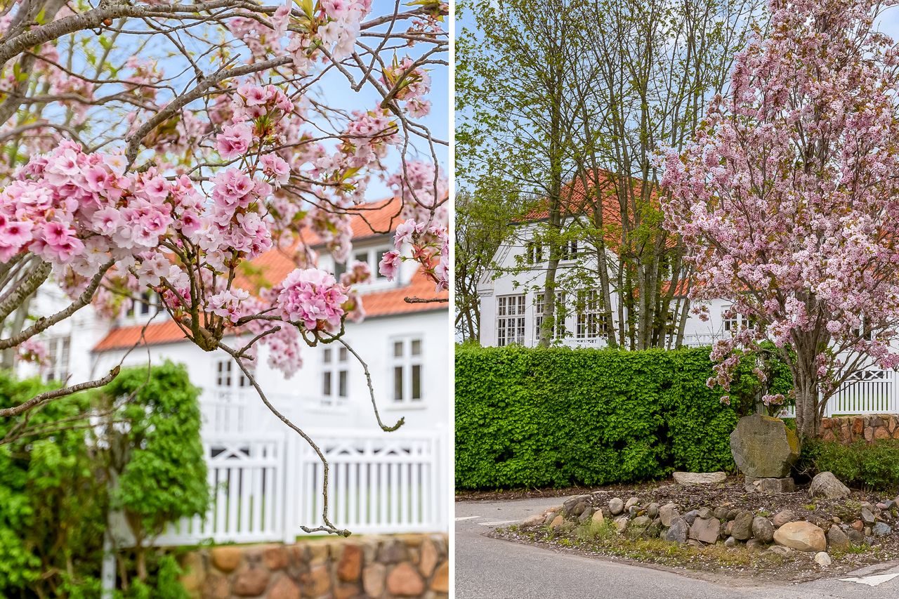 Ejendomsbillede 3 af 46