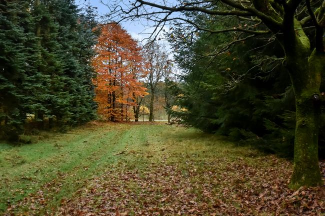 Granlundvej 7,  Skov/naturejendom