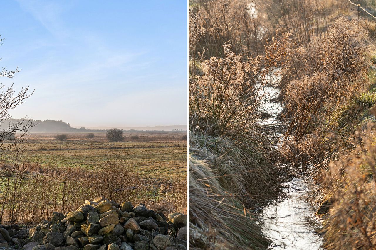 Ejendomsbillede 2 af 26