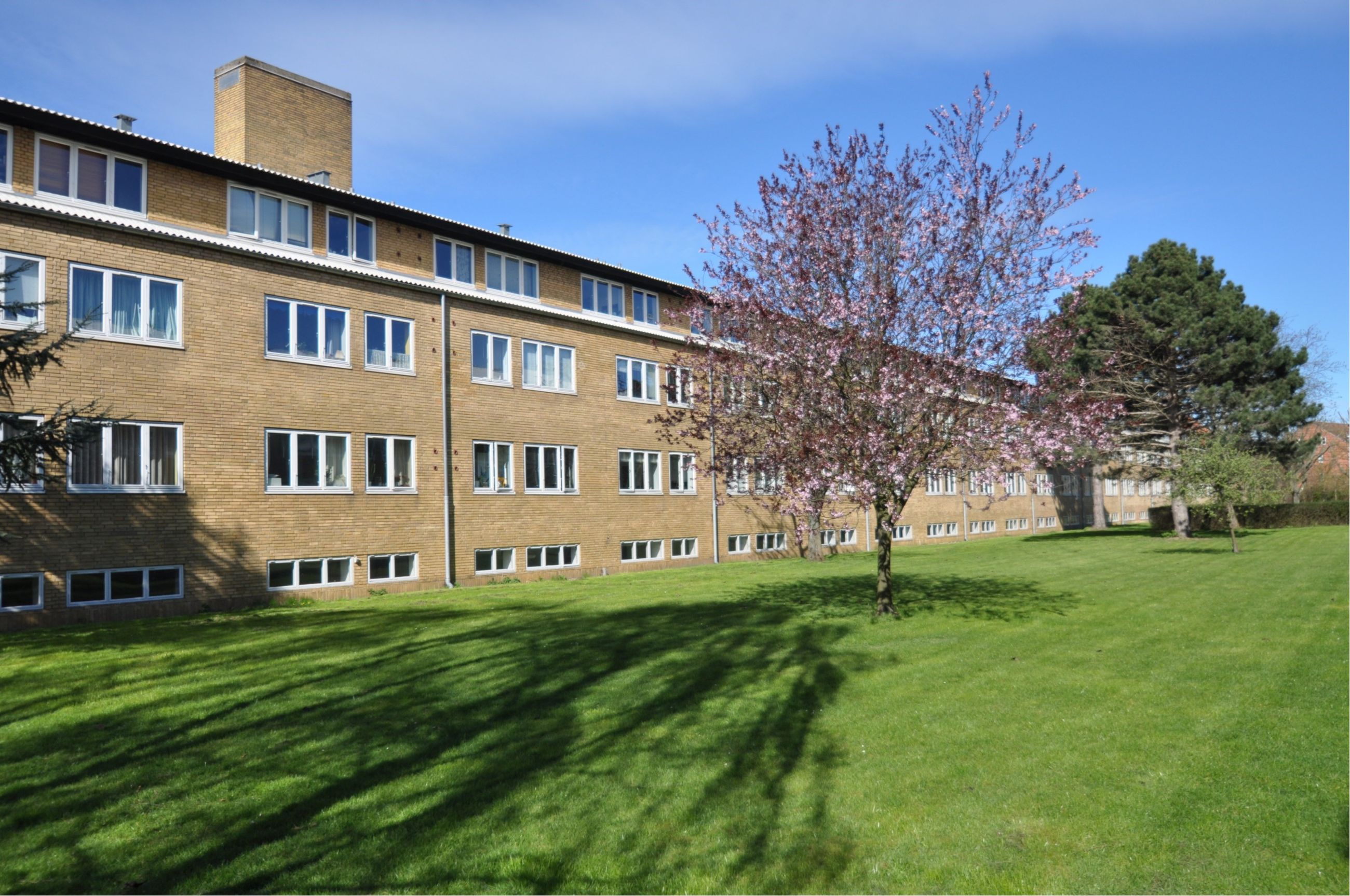 Næsborgvej 50, 2. th. Ejerlejlighed