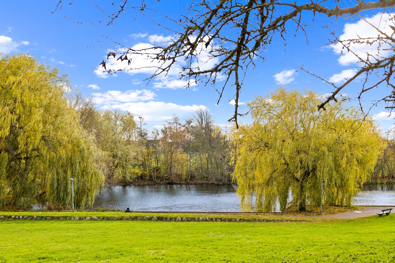 Ejendomsbillede 3 af 36