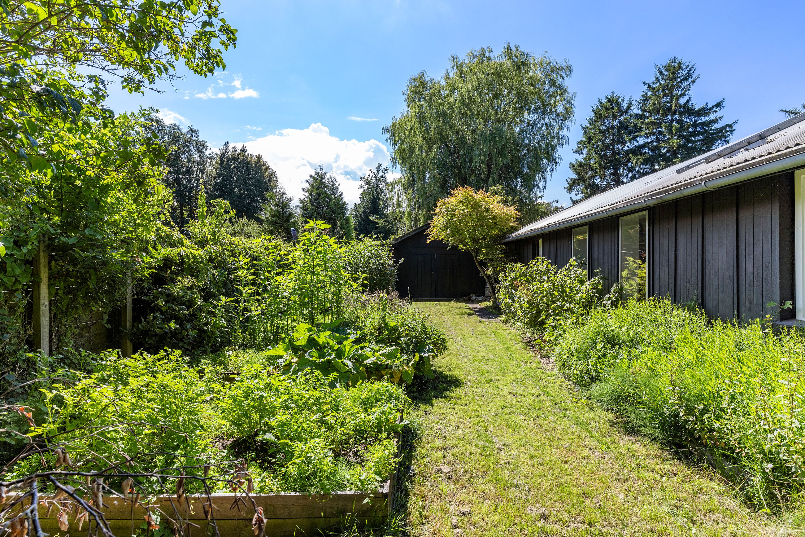 Strandgårdsvej 40, Rågeleje, Vejby - 633A4233 kopier.jpg
