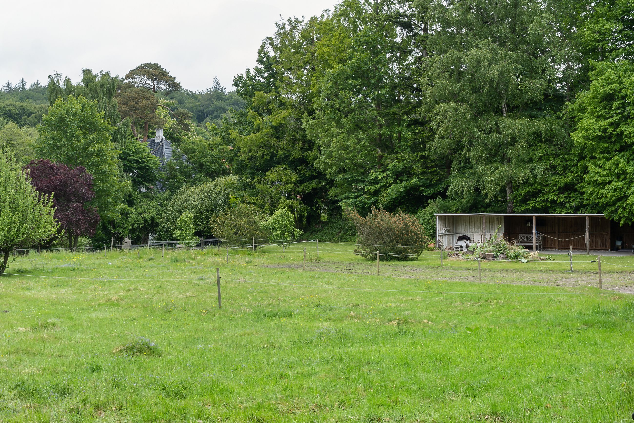 Ørholmvej 61, Kongens Lyngby - DSC04039.jpg