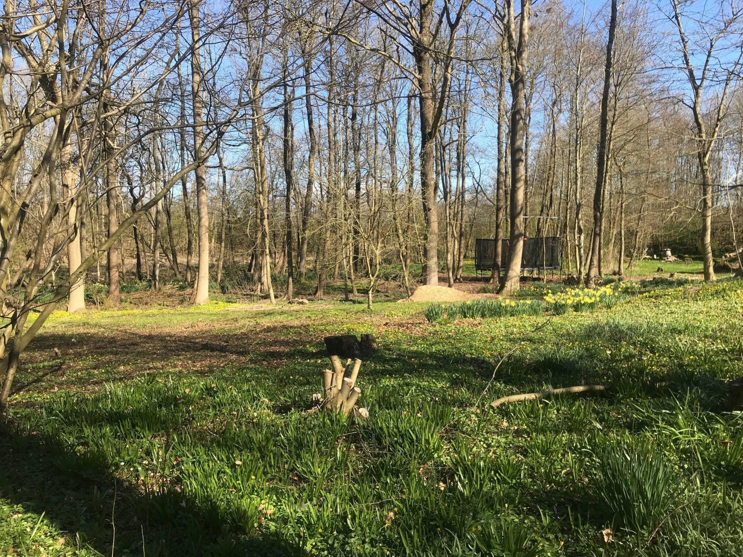 Gl. Hornshøjvej 9A,  Helårsgrund