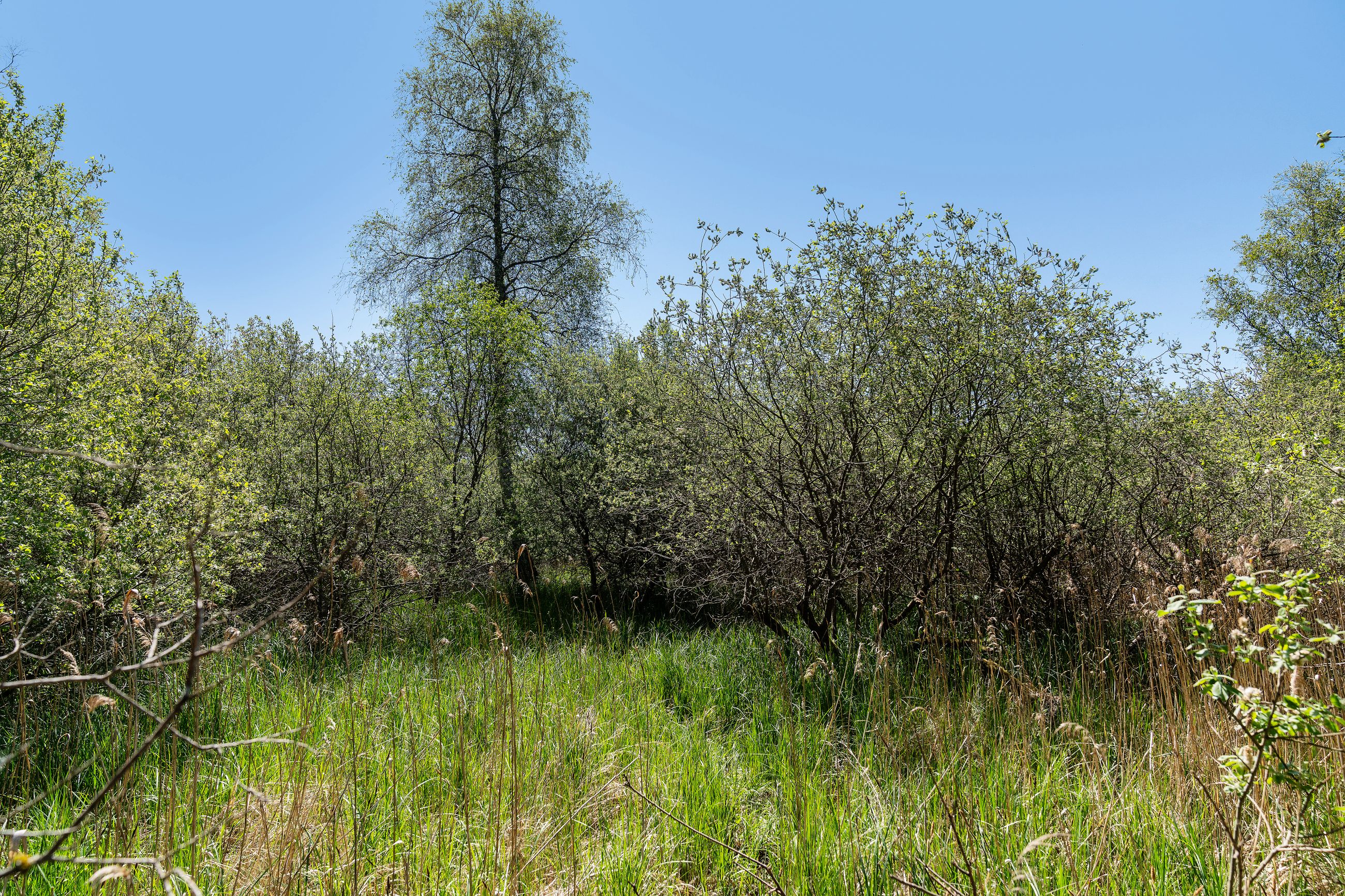 Hestetangsvej 149, Farum - Område