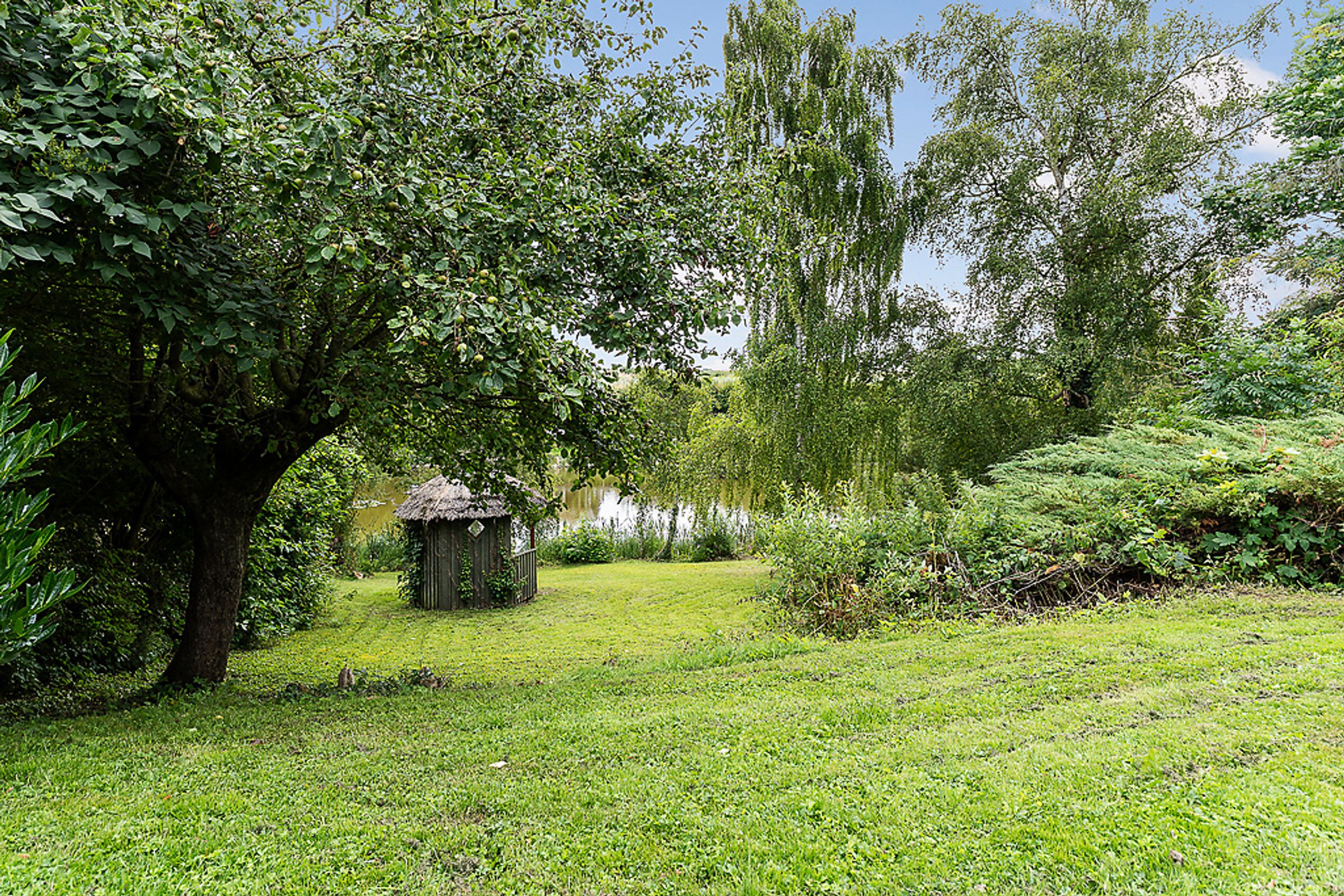 Ebberup Mose 21, Vipperød - 34-Omraade.jpg