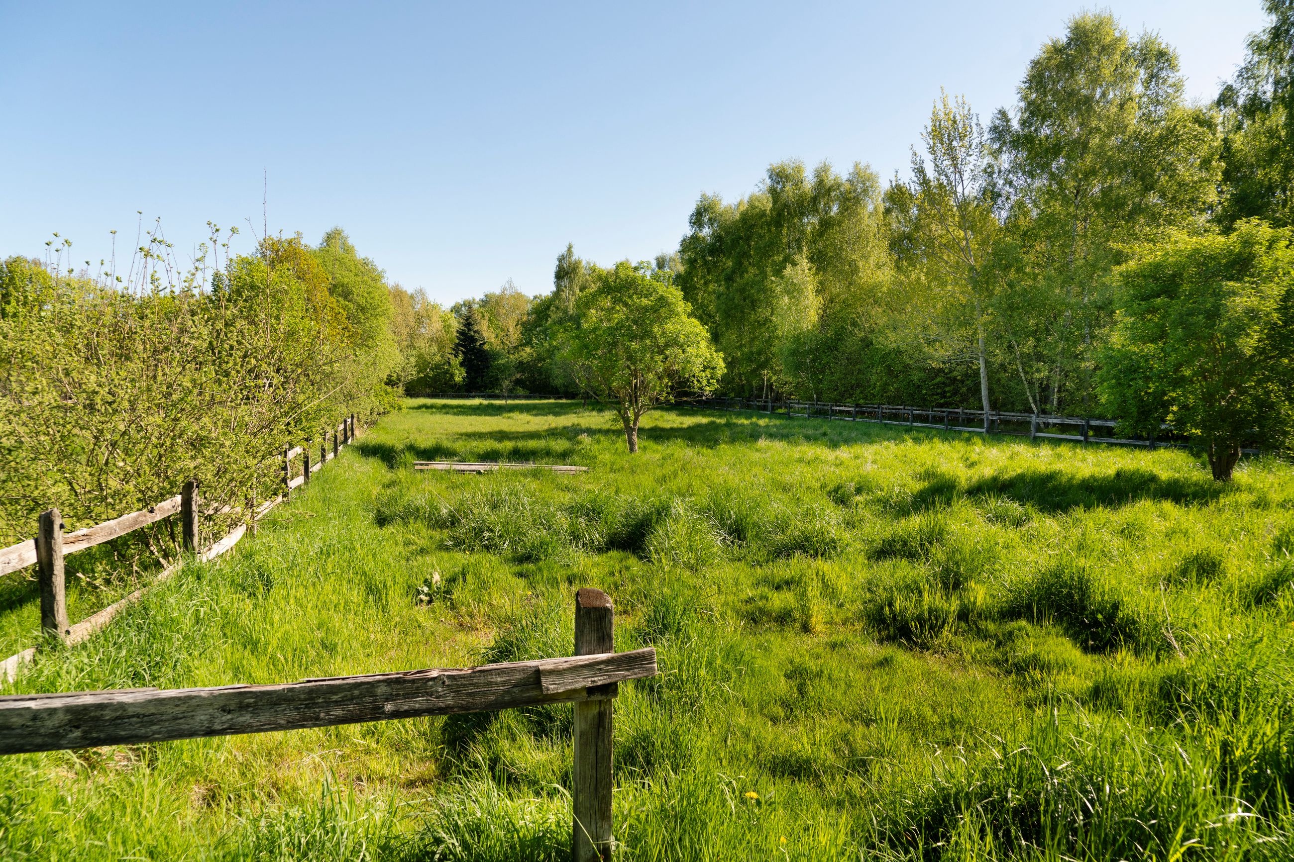 Høveltevej 86, Birkerød - Høveltevej 86 078.jpg