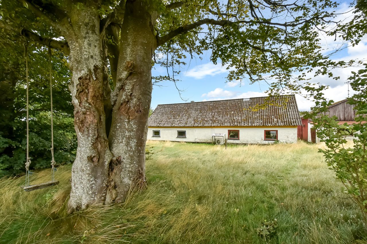 Ejendomsbillede 3 af 16