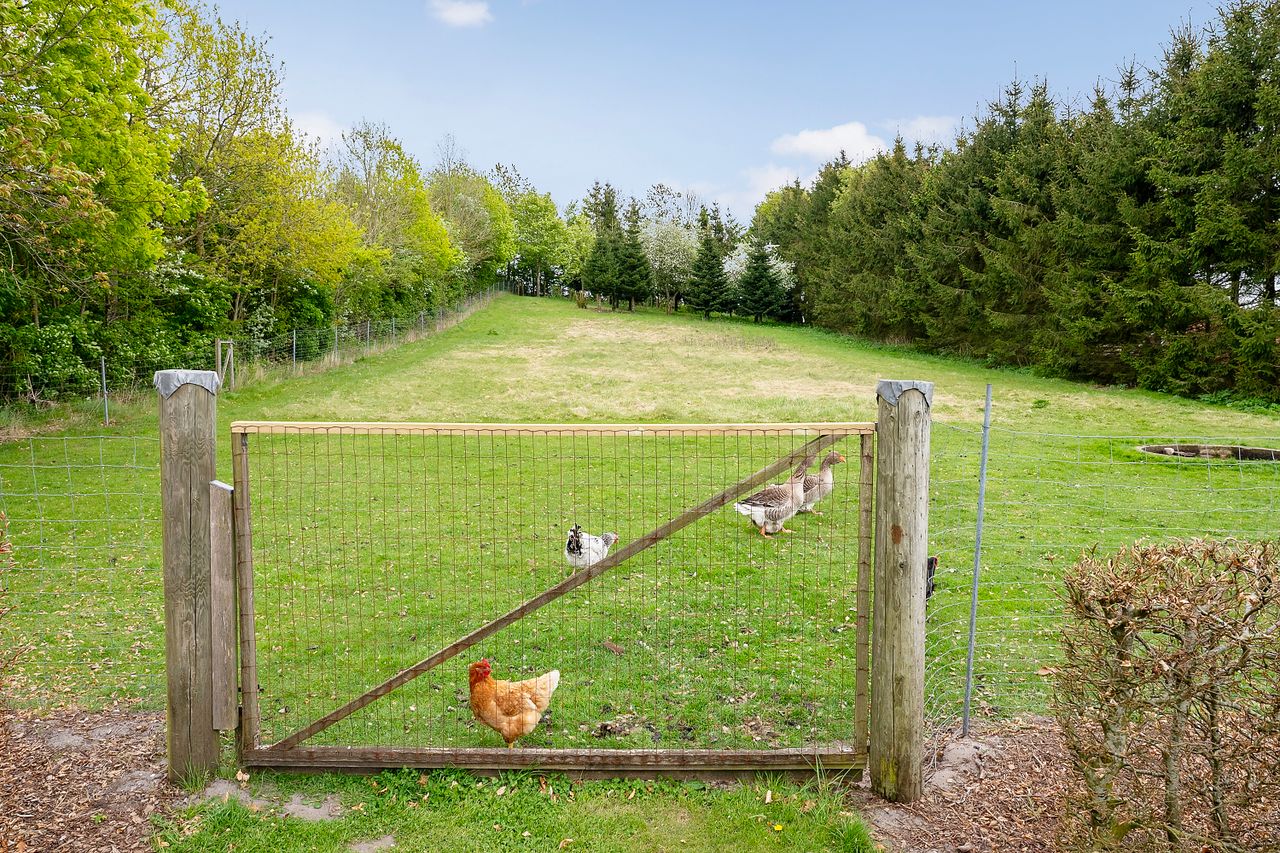 Ejendomsbillede 3 af 32