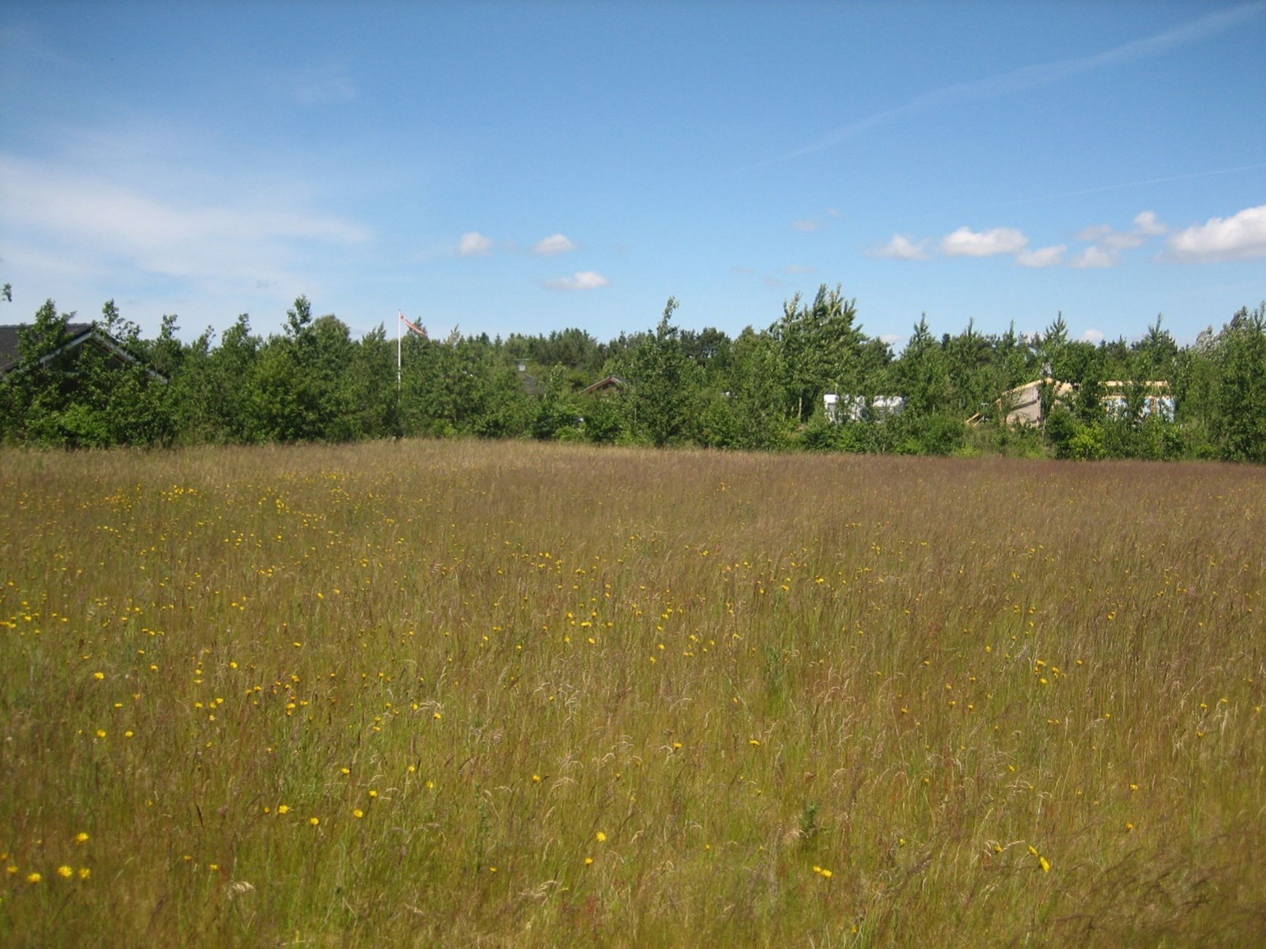 Mosevej 197, Virksund Grund