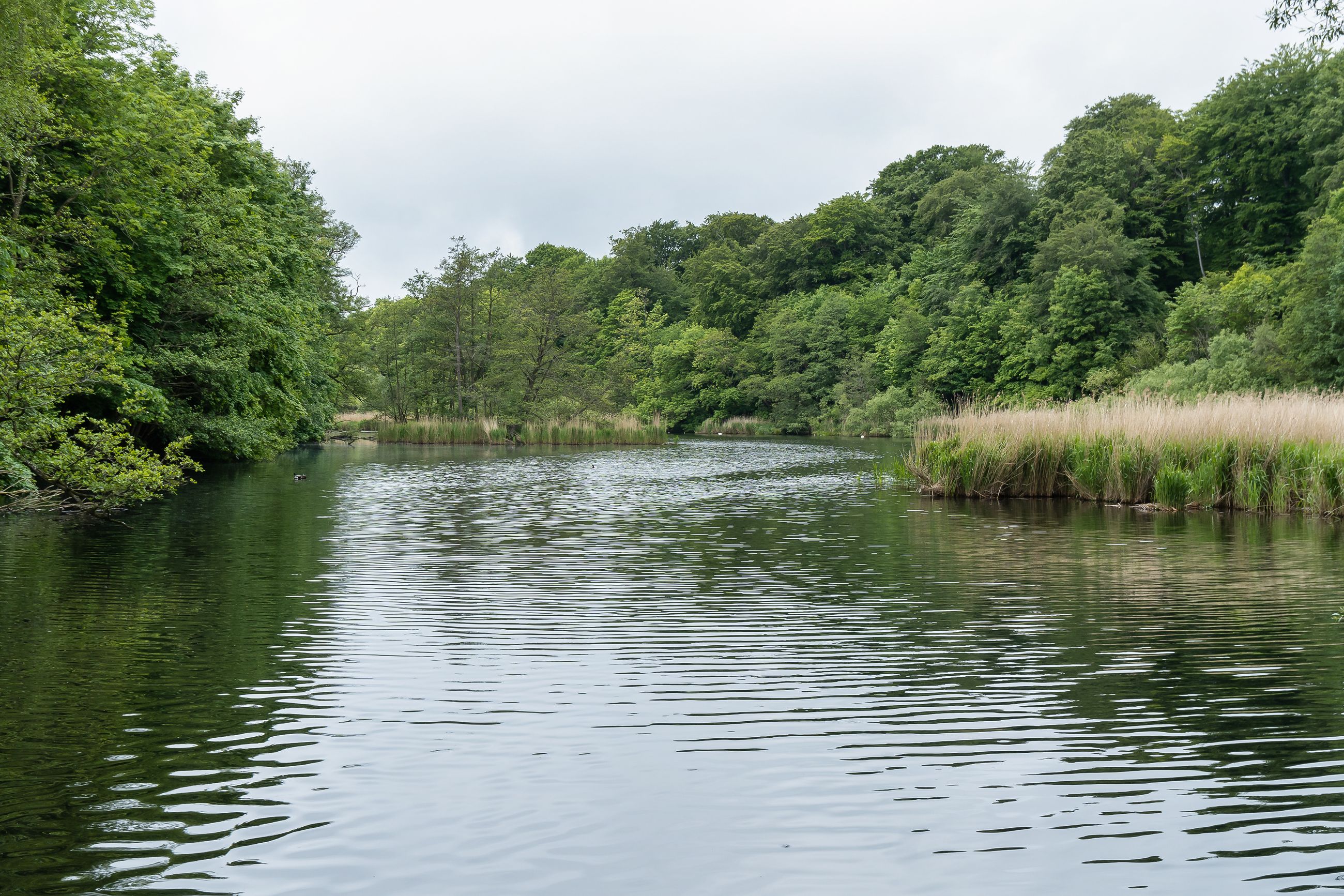 Ørholmvej 61, Kongens Lyngby - DSC04033.jpg