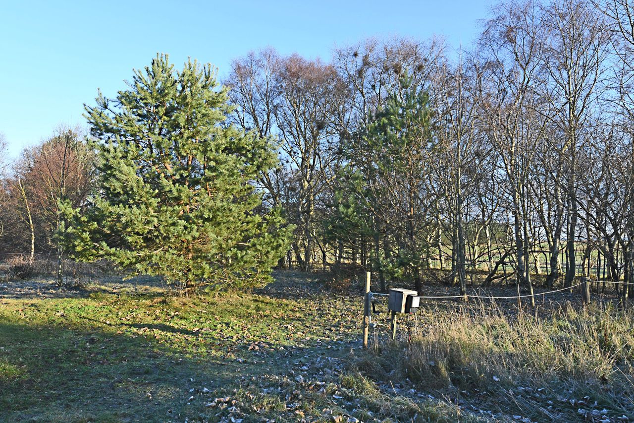 Ejendomsbillede 3 af 7