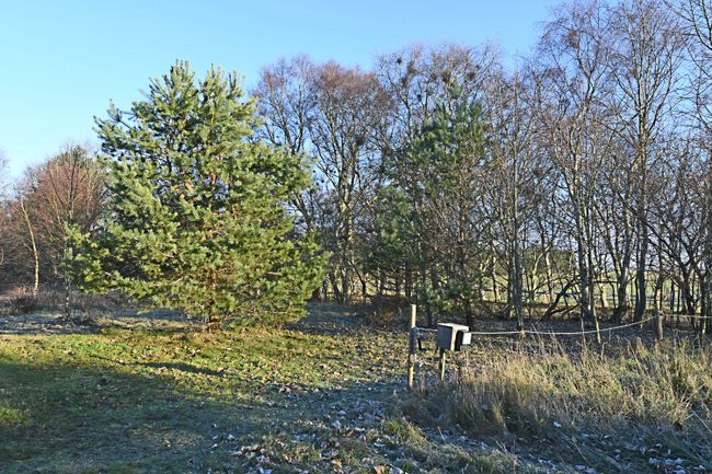 Kystvej 89,  Dokkedal