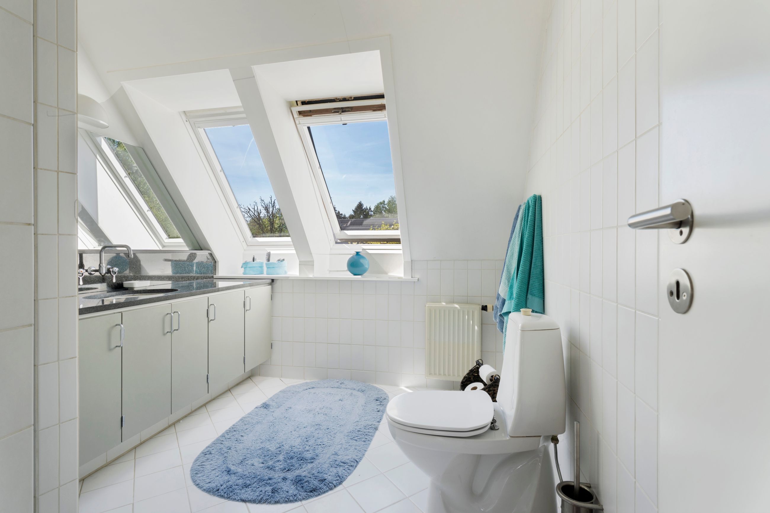 Asserholmvej 3, Vipperød - Toilet
