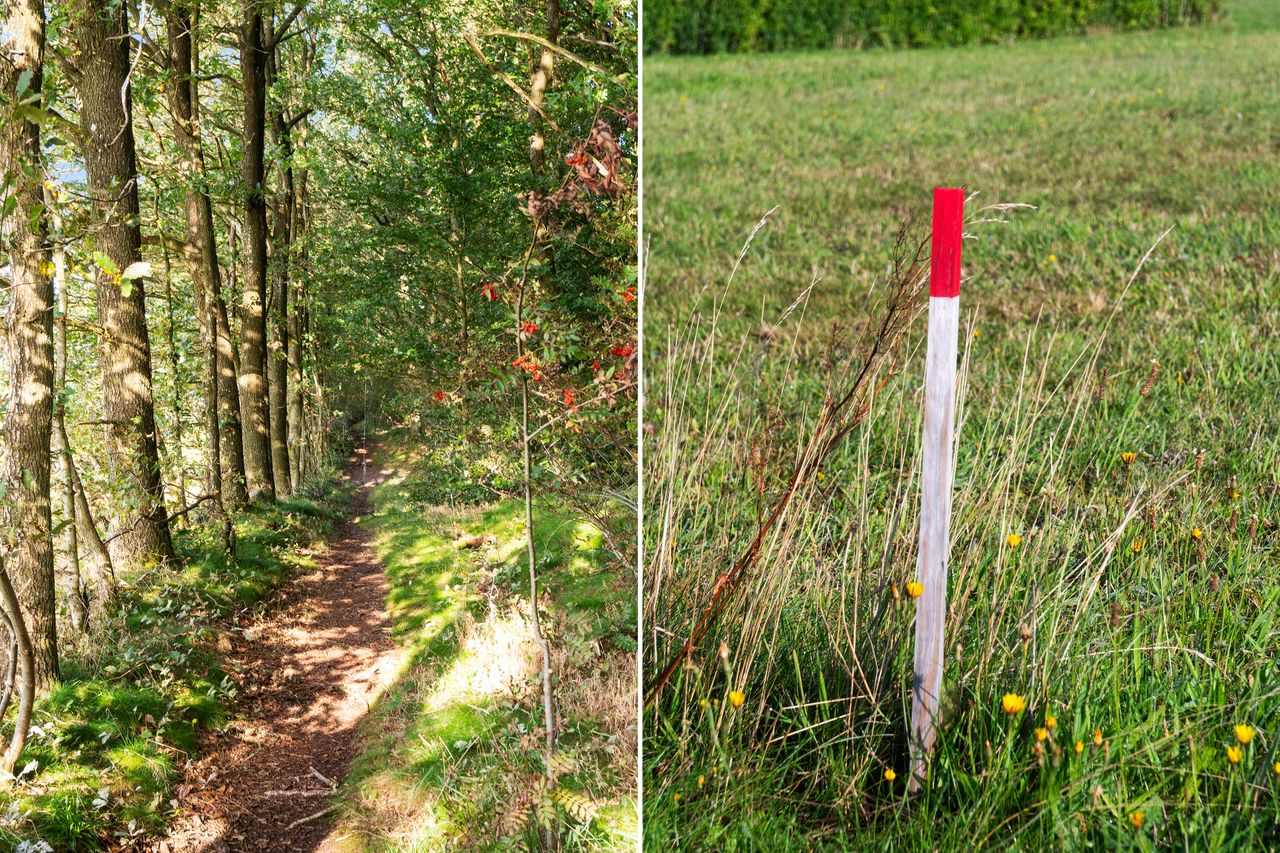 Ejendomsbillede 3 af 15