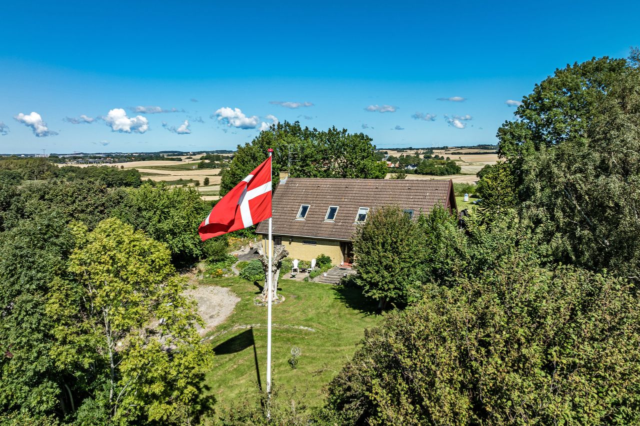 Ejendomsbillede 2 af 42