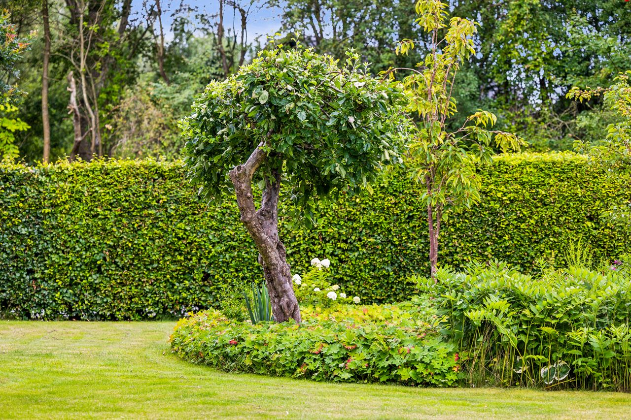 Ejendomsbillede 3 af 38