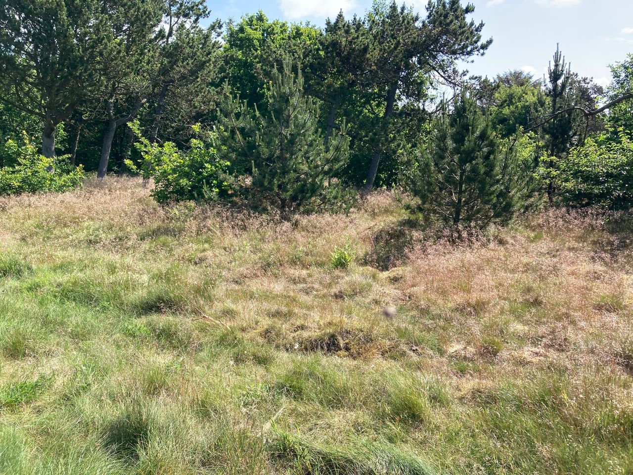 Ejendomsbillede 2 af 6