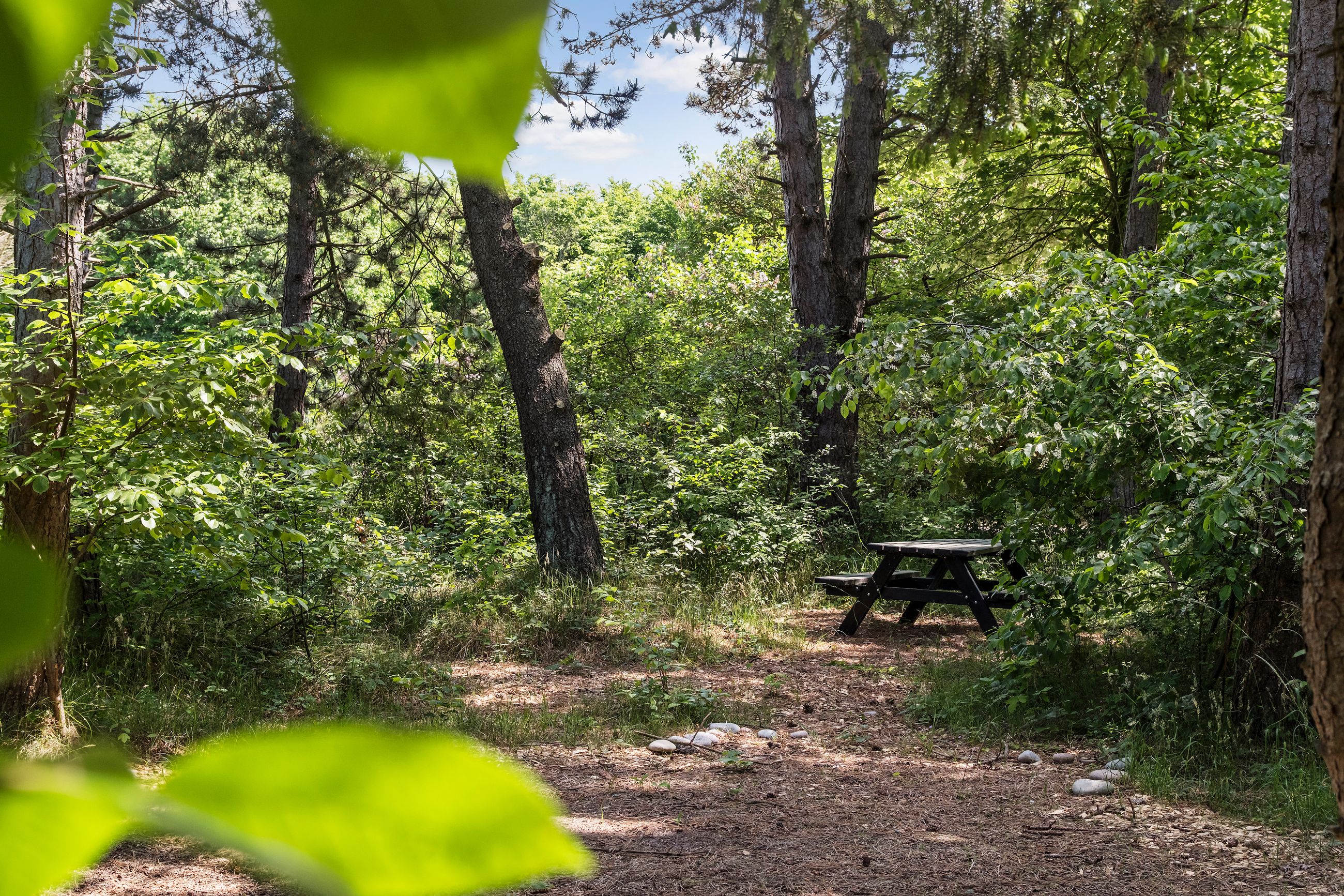 Tengslemark Strandvej 3, Tengslemark Lyng, Højby - Område