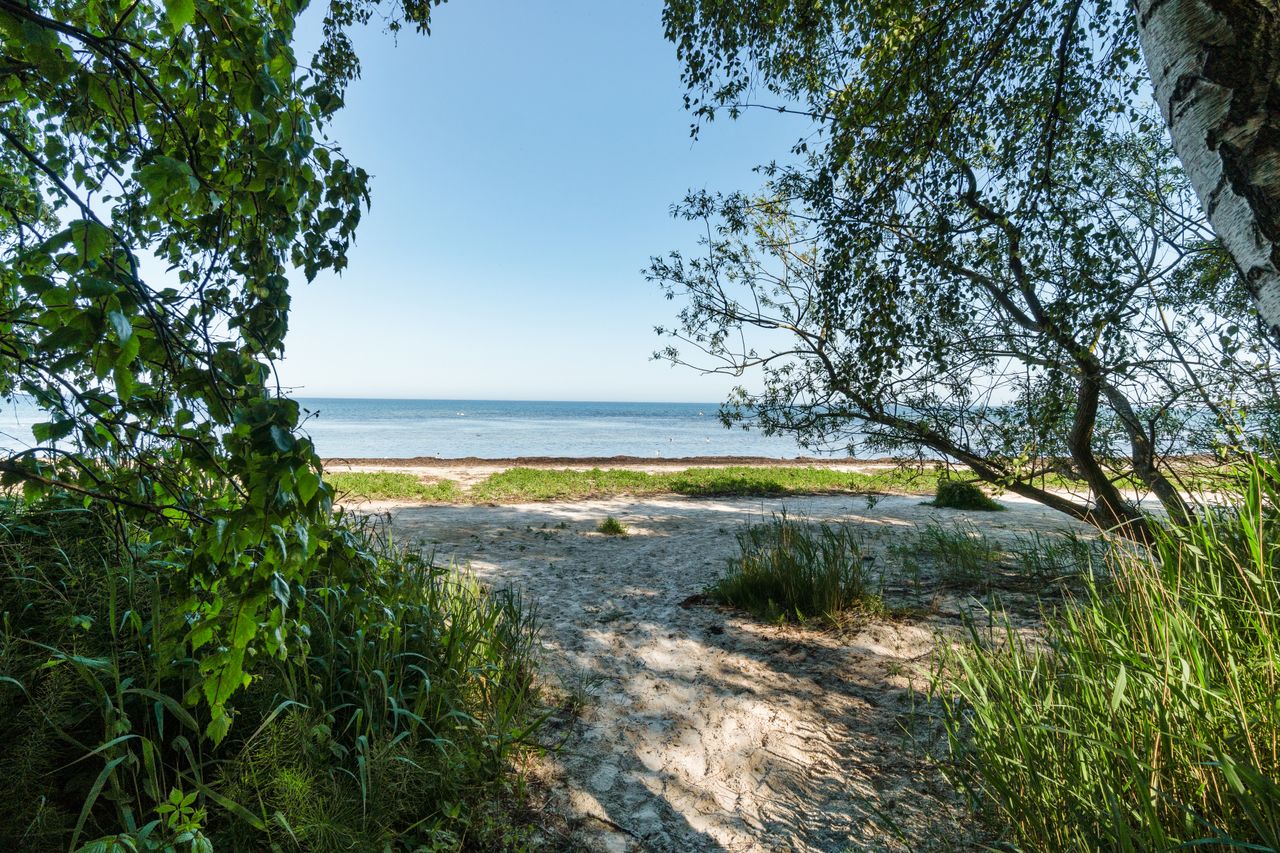 Ejendomsbillede 2 af 29