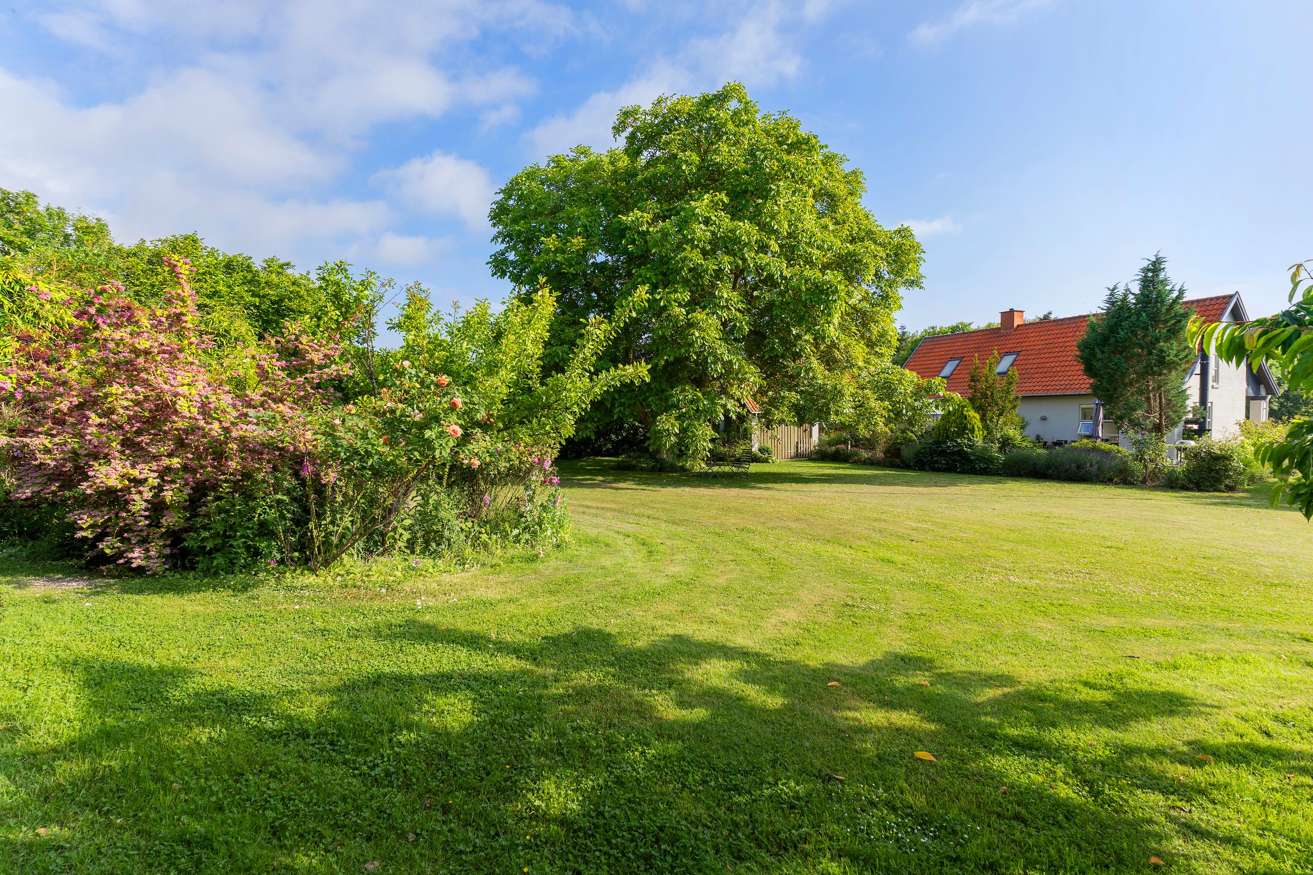 Stokkebjergvej 10, Hølkerup, Nykøbing Sj - 10-Ejendommen.jpg
