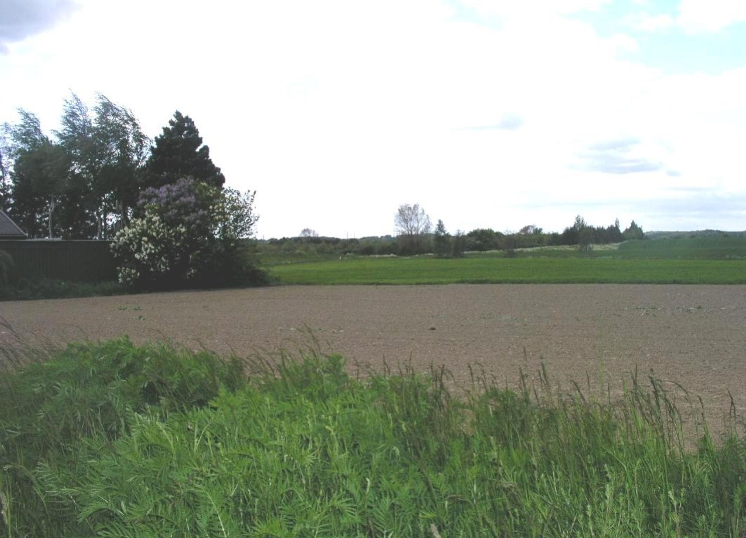 Fasanvej 12, Viemose Grund