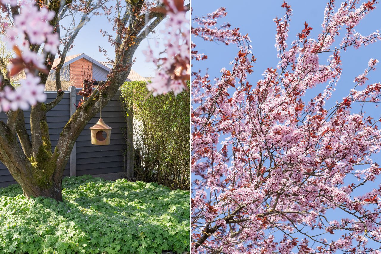 Ejendomsbillede 3 af 23