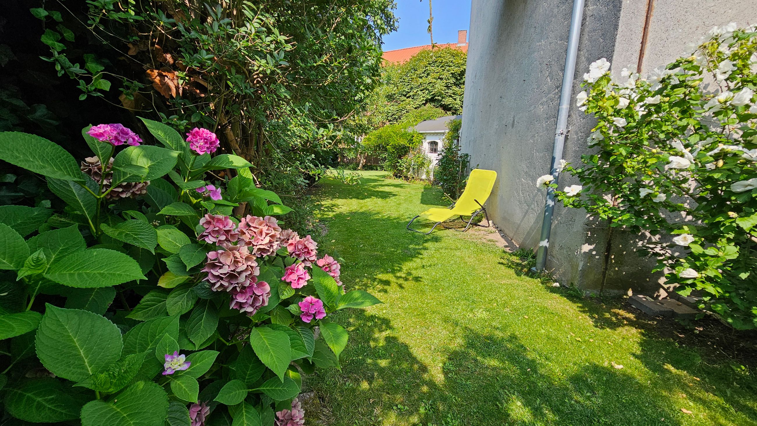 Esthersvej 15, st. th, Hellerup - 20240820_121844.jpg