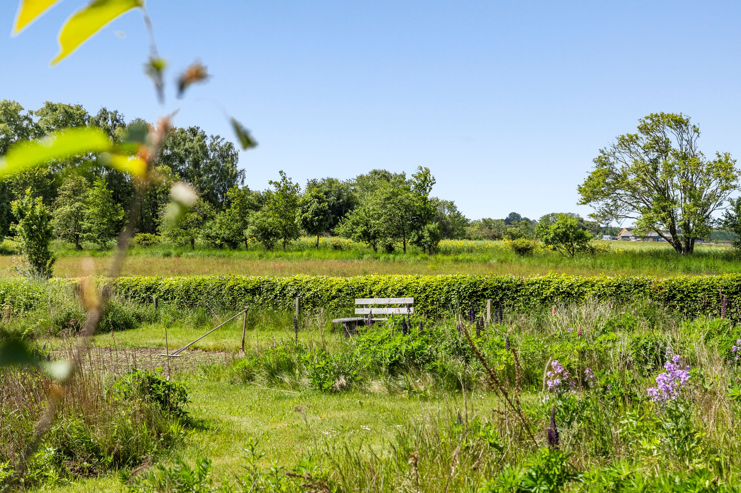 Bregnerødvej 30, Gilleleje - 633A1054.jpg