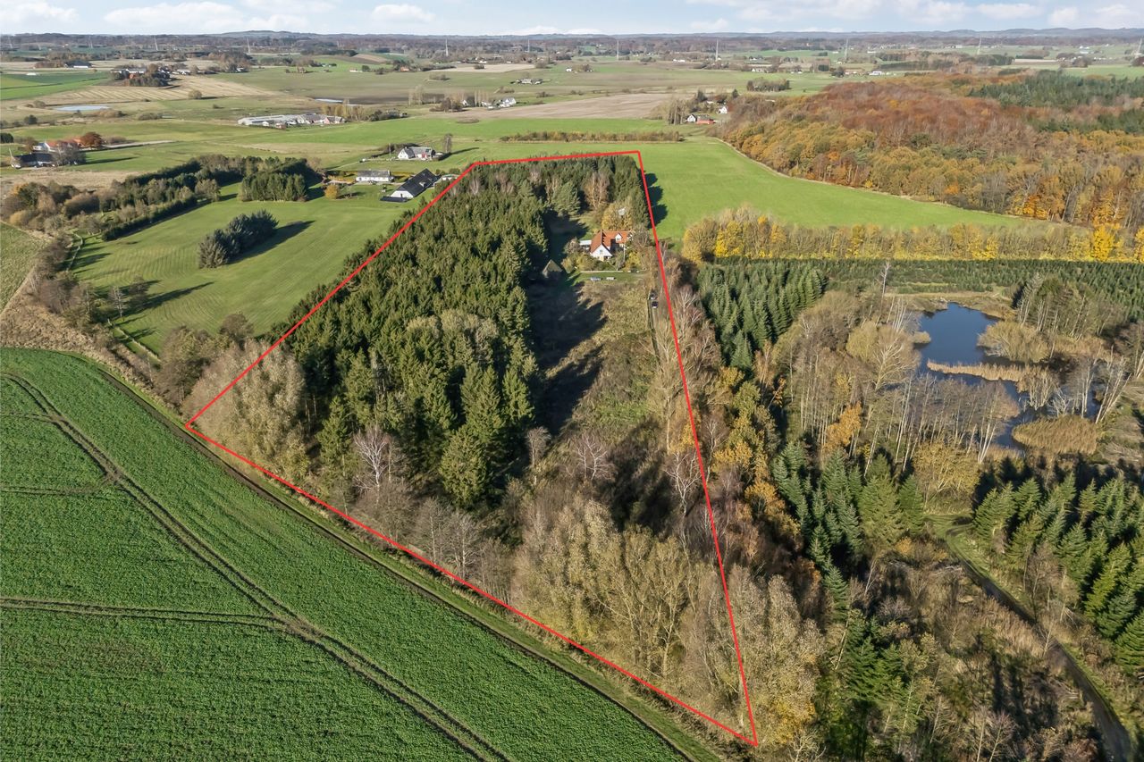 Ejendomsbillede 2 af 33