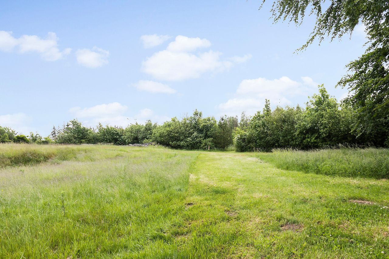 Ejendomsbillede 3 af 36