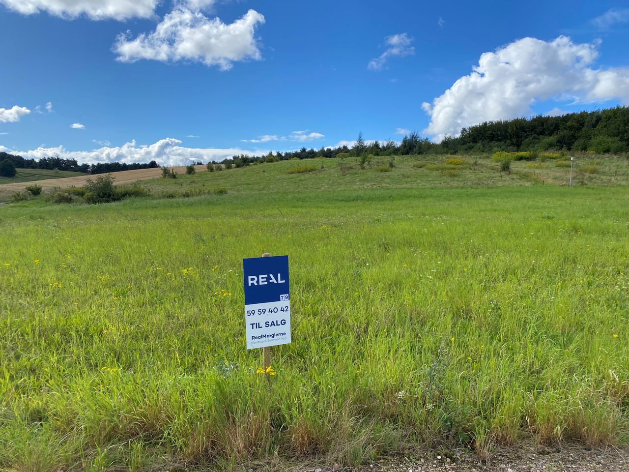 Ejendomsbillede 2 af 6