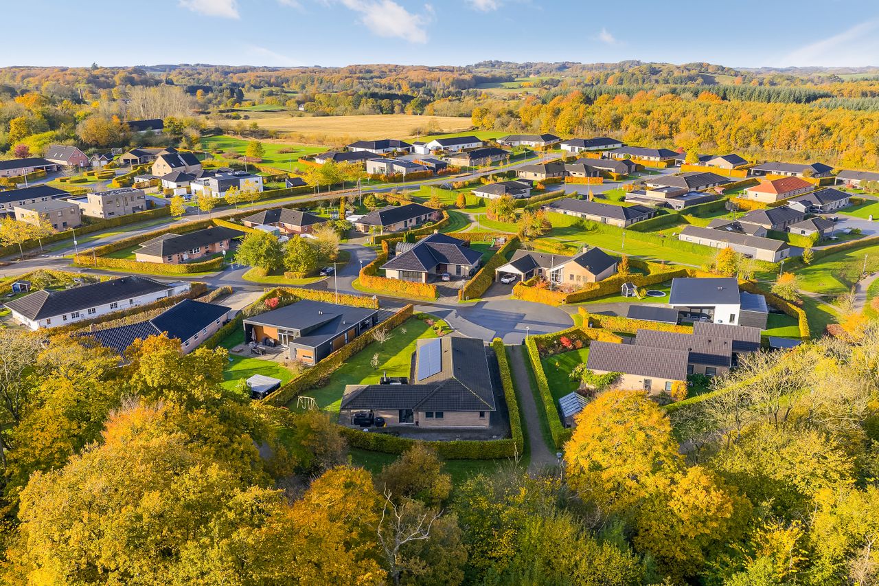 Ejendomsbillede 2 af 40