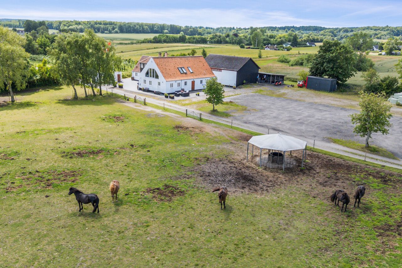 Ejendomsbillede 3 af 41