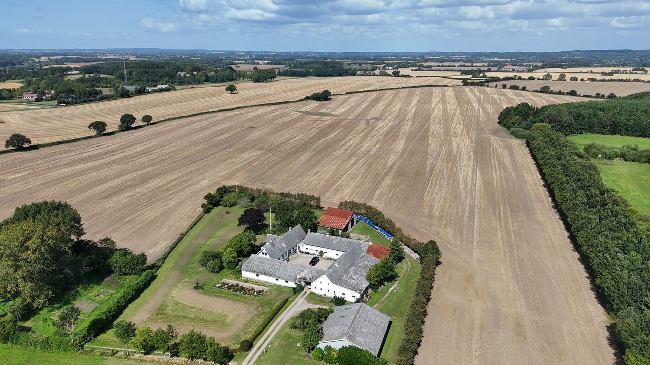 Ejendomsbillede 2 af 31