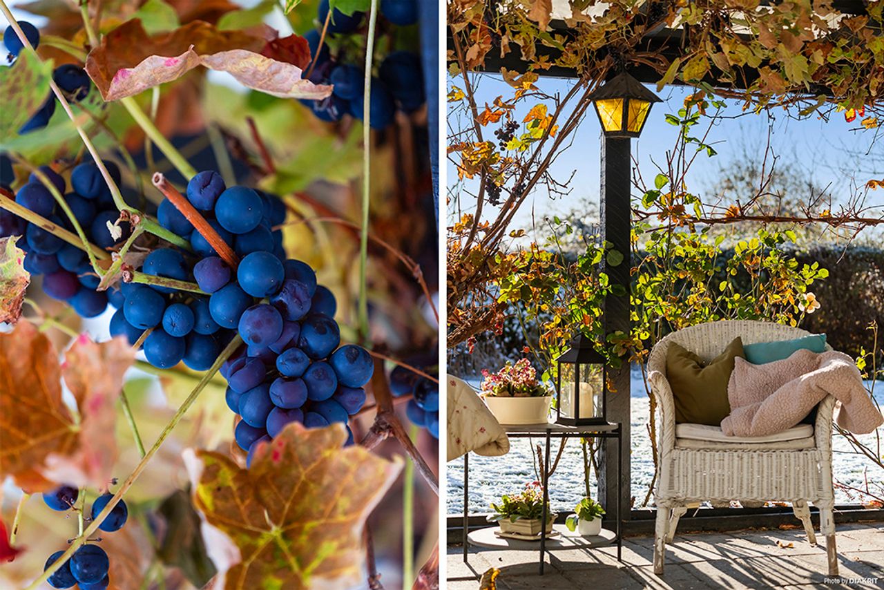 Ejendomsbillede 3 af 17