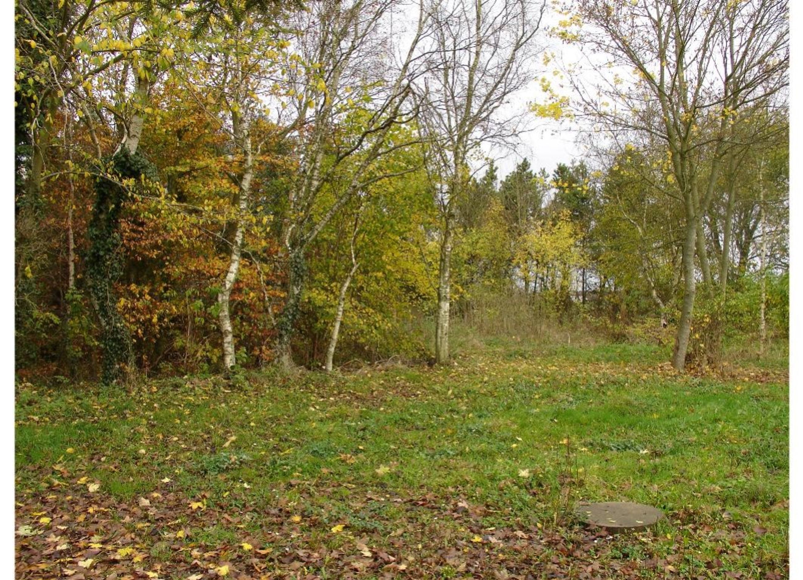 Vesterskov 14, Mou Grund